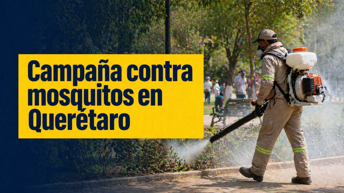 Arranca campaña intensiva contra mosquitos en Querétaro