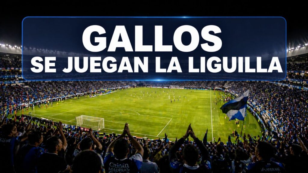 Gallos Blancos se juegan su última oportunidad de liguilla