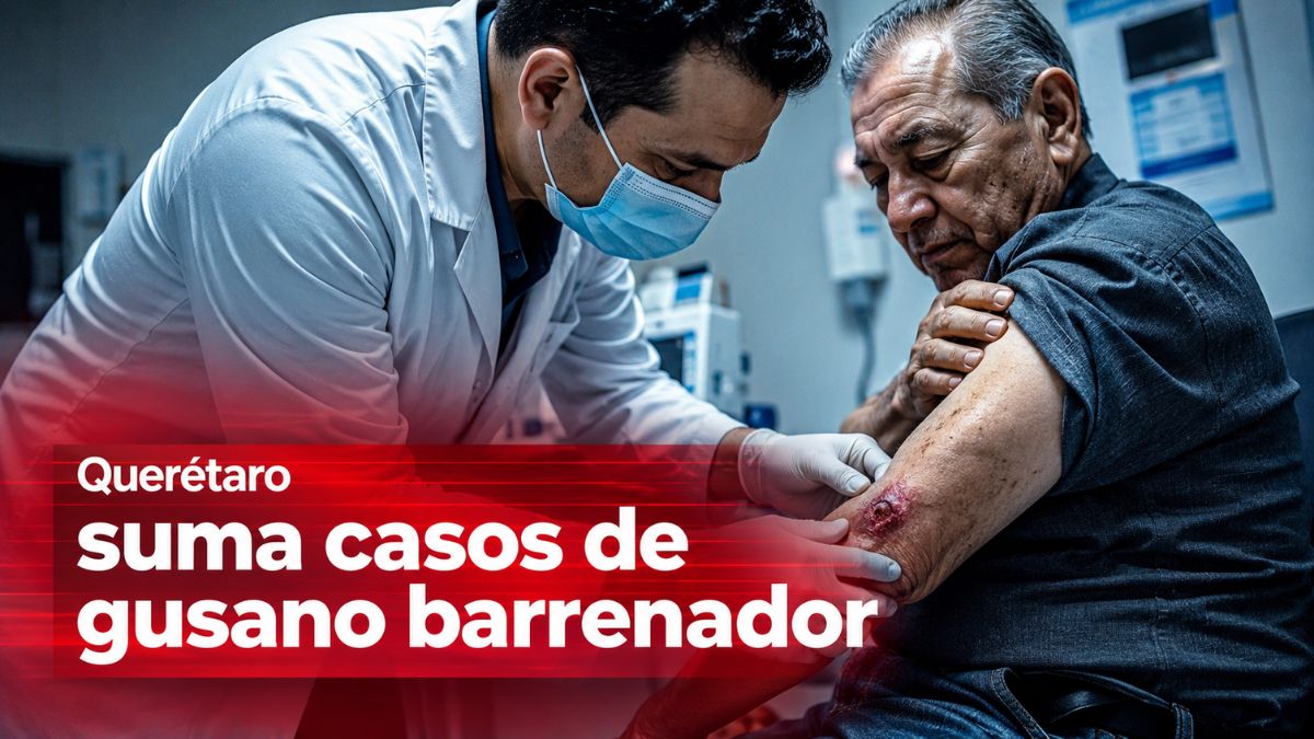 Querétaro suma casos humanos de gusano barrenador