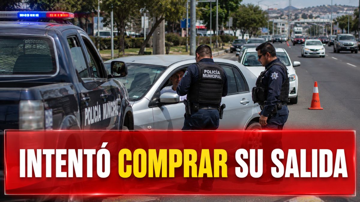 Intentó arreglarlo con dinero y terminó detenido
