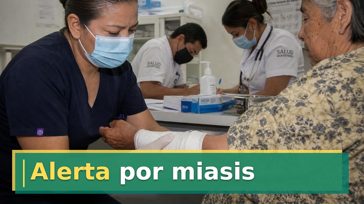 Alerta por miasis