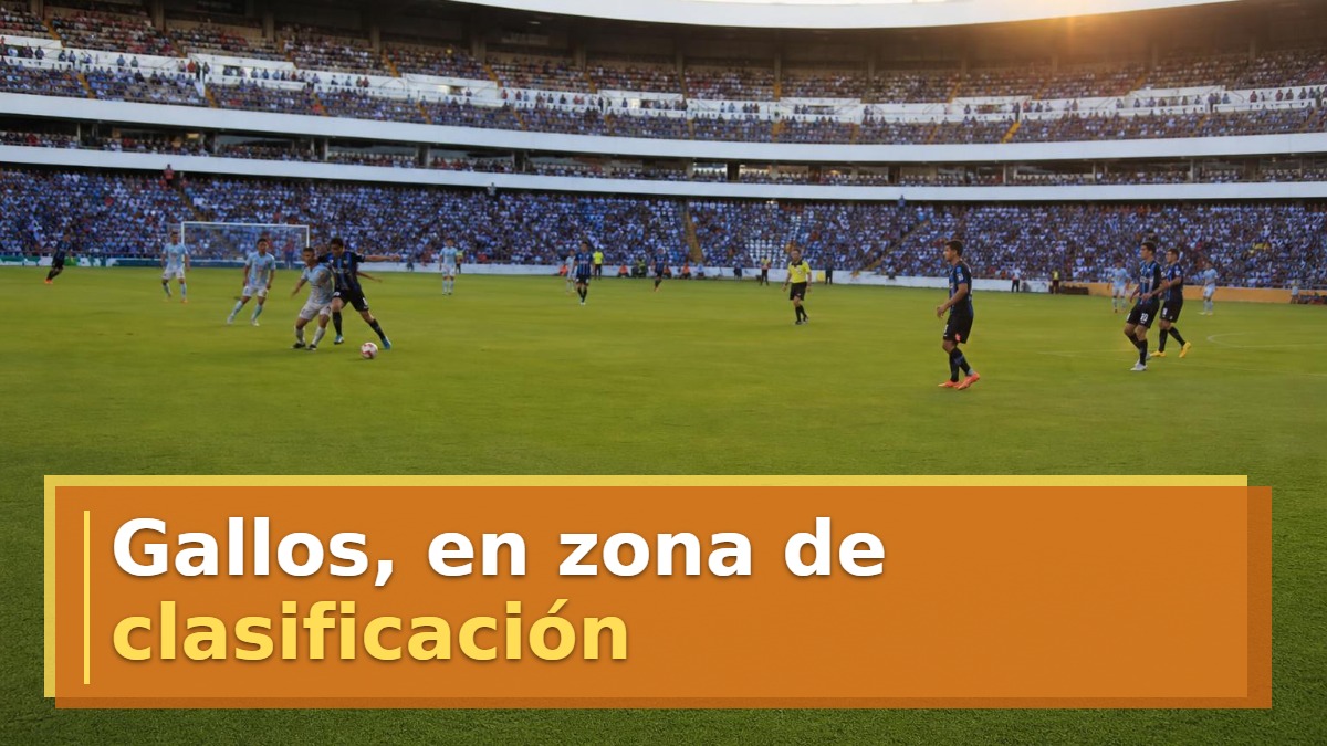 Gallos, en zona de clasificación