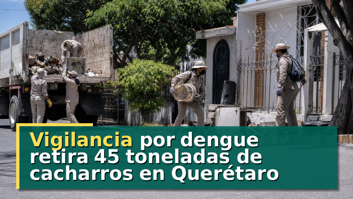 Vigilancia por dengue retira 45 toneladas de cacharros en Querétaro